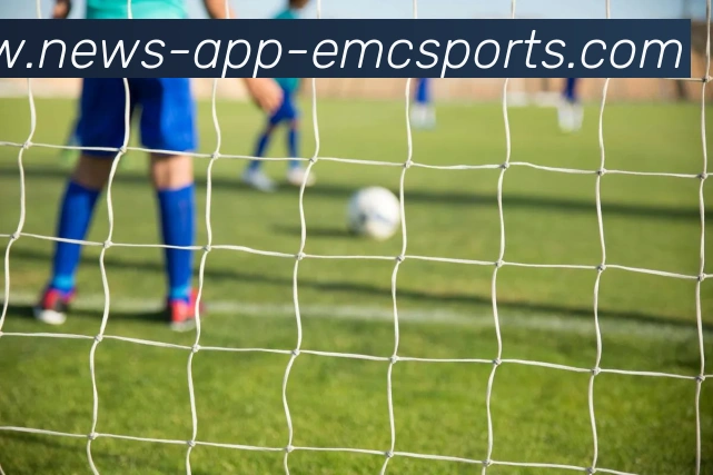 易倍体育APP 封面图